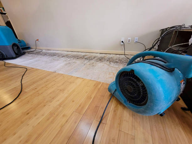 Professional Structural Drying technician working in Ventura, CA